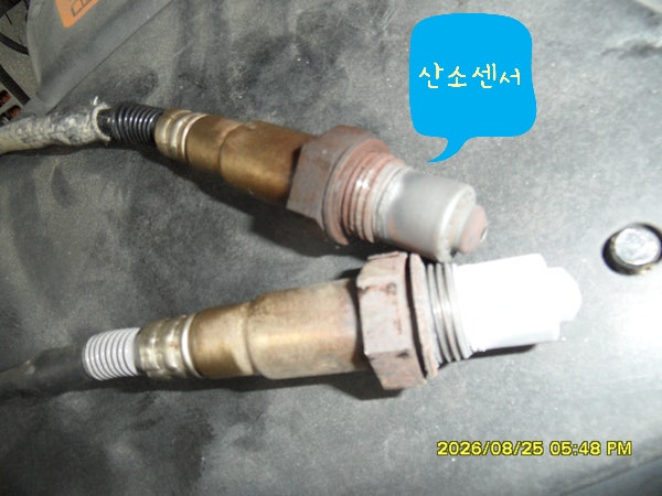 현대 LF 소나타 LPG 정비 작업 현장 사진