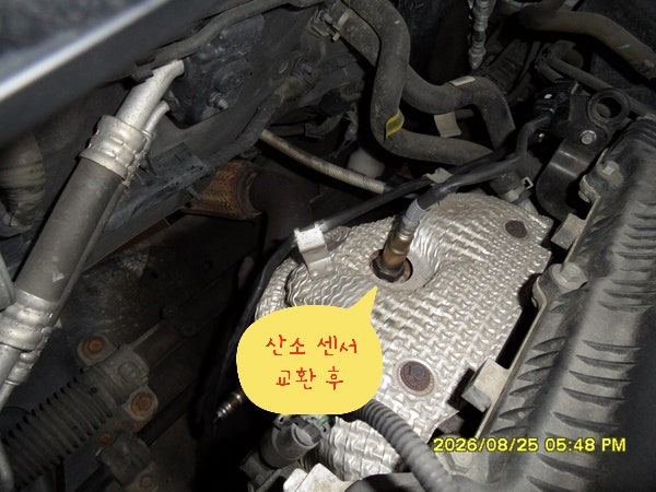 현대 LF 소나타 LPG 작업 진행 모습 사진